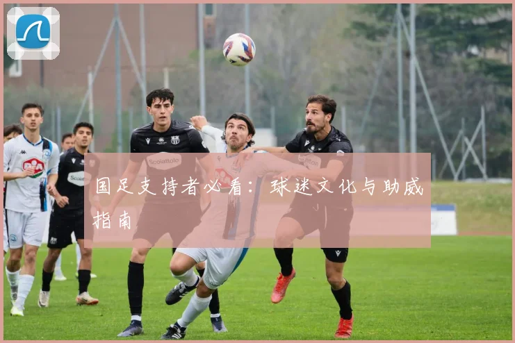 国足支持者必看：球迷文化与助威指南