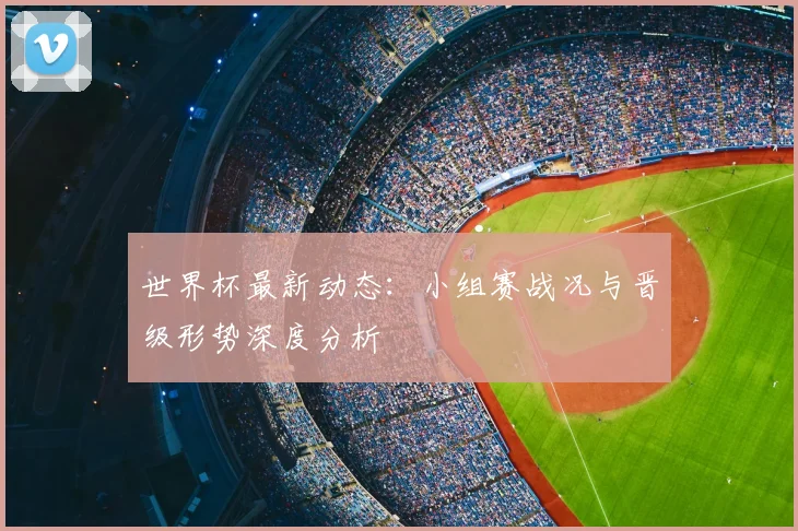 世界杯最新动态：小组赛战况与晋级形势深度分析